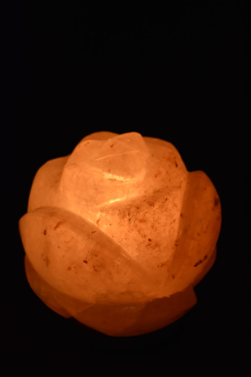 Salzlampe – Lotus – Bild 2