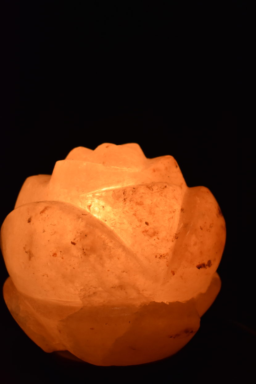 Salzlampe – Lotus