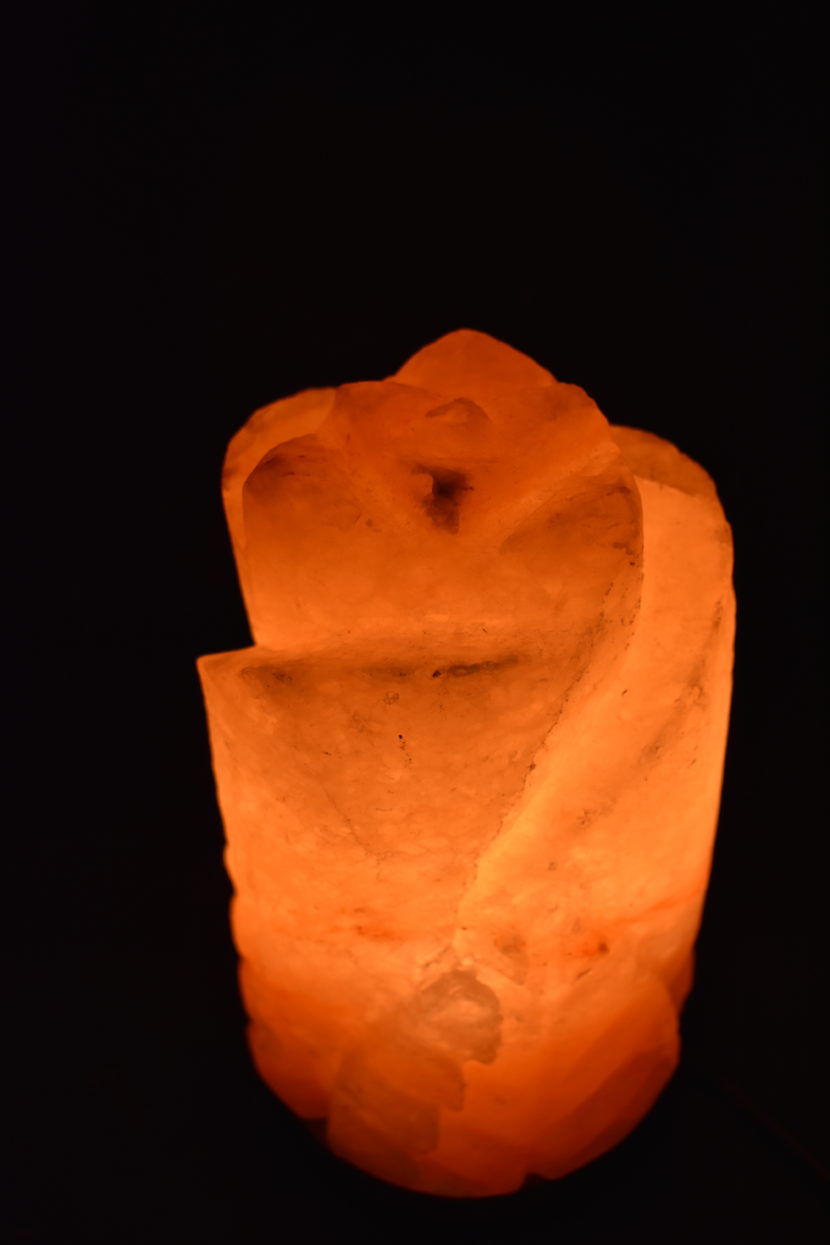 Salzlampe – Rosen-Blüte – Bild 2